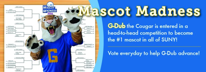 mascot_maddness_banner_2014