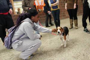 10734264_10152876283543103_2419562408594155853_n