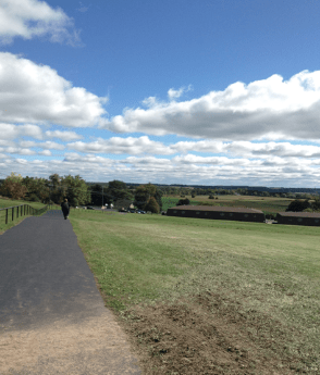 Screen Shot 2015-04-22 at 1.01.06 PM