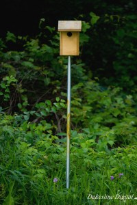 A birdhouse by Genesee Community College