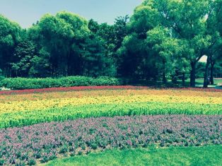 4e3efca2-ff72-4ba3-9dd0-0a4f08e4d98b